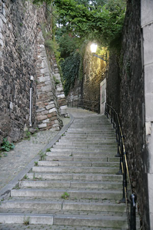 View_of_liege (18)